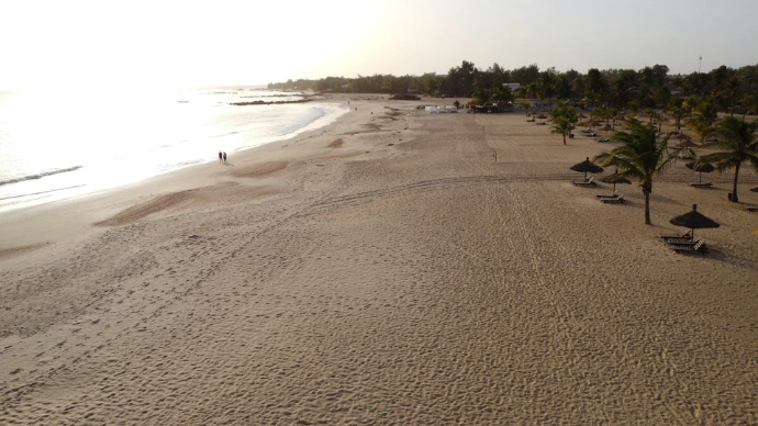 An empty sandy beach with palm trees.